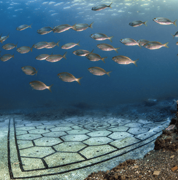 Foto de un mosaico romano del parque arqueologico sumergido de Baia